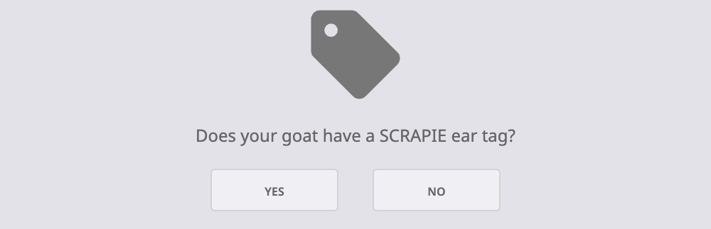 Step4: Scrapie Tag