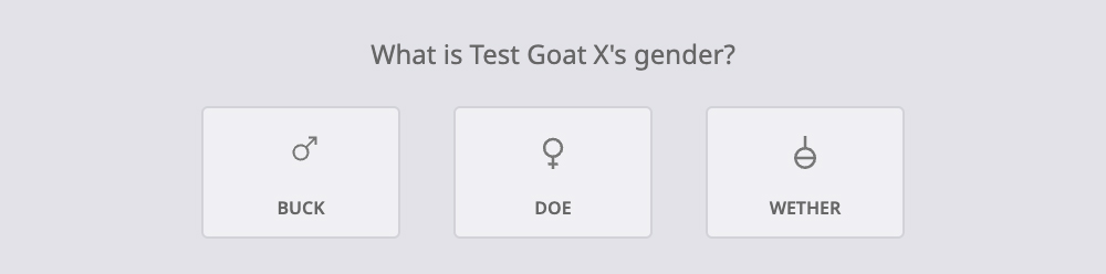 Step 7: Goat's Gender