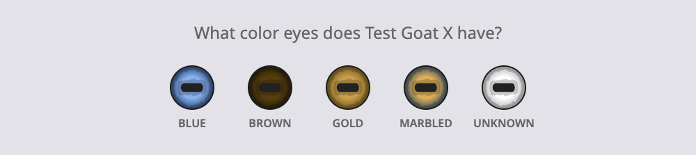 Step 9: Goat's Eye Color